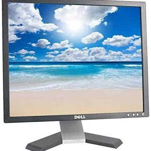 Dell E198FPB