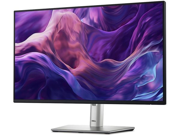 Dell P2425H 100Hz *No Stand*