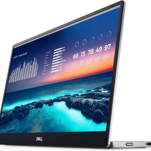 Dell P1424H Portable