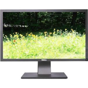 Dell P2411Hb *No Stand*