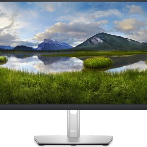 Dell P2422H